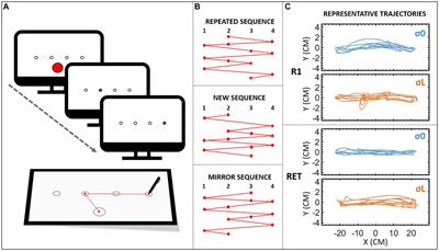 Reliability of on-line visual feedback influences learning of continuous motor task of healthy young adults